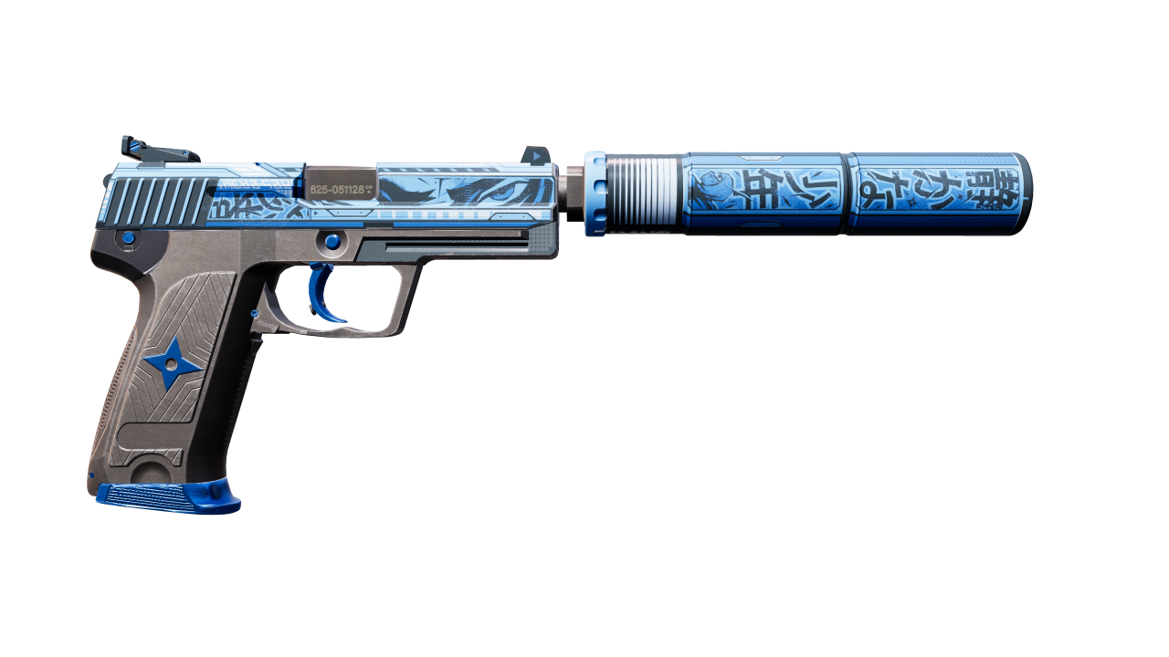 Back view of USP-S | Silent Shot