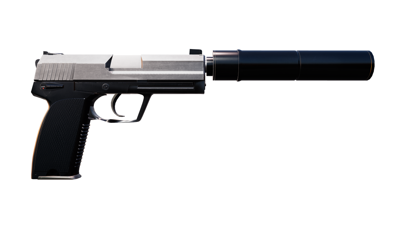 Back view of USP-S | Stainless