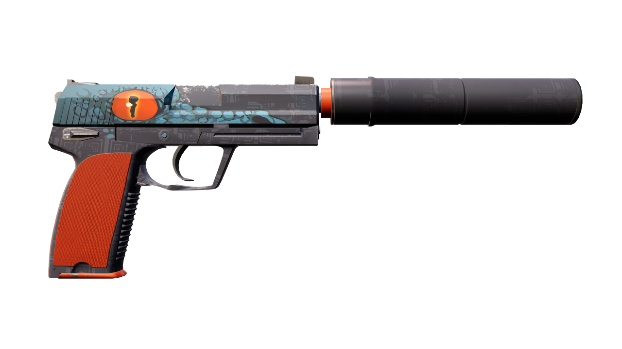 Back view of USP-S | Caiman