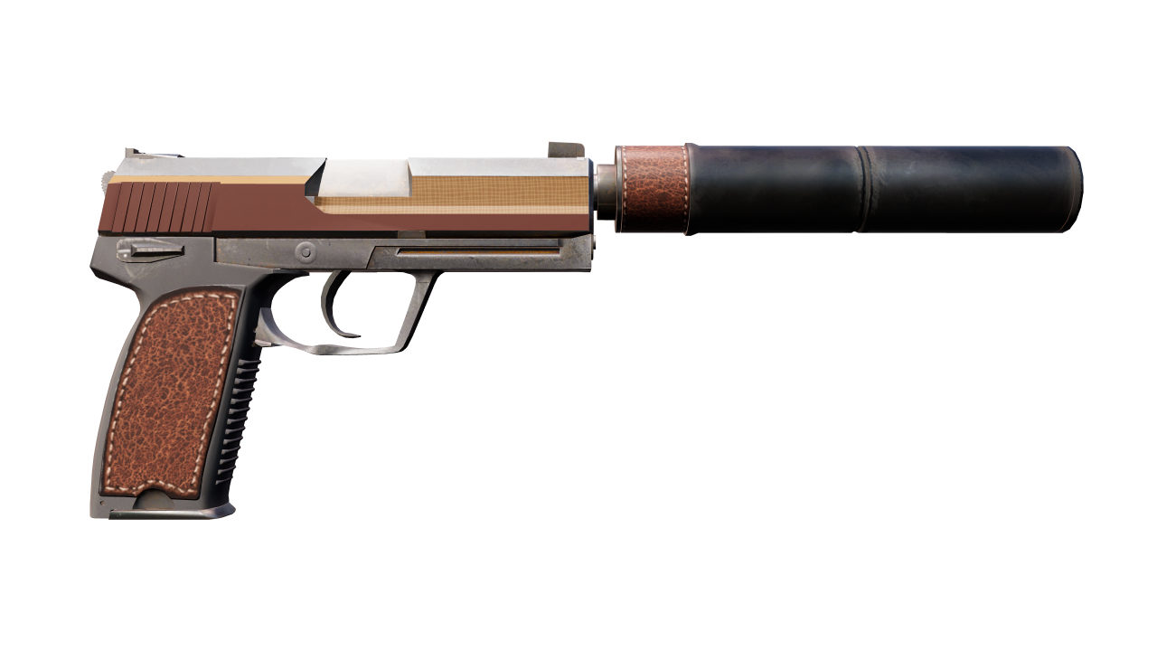 Back view of USP-S | Business Class