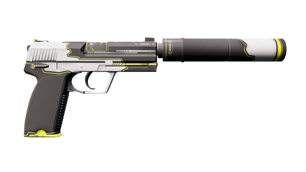 Back view of USP-S | Torque