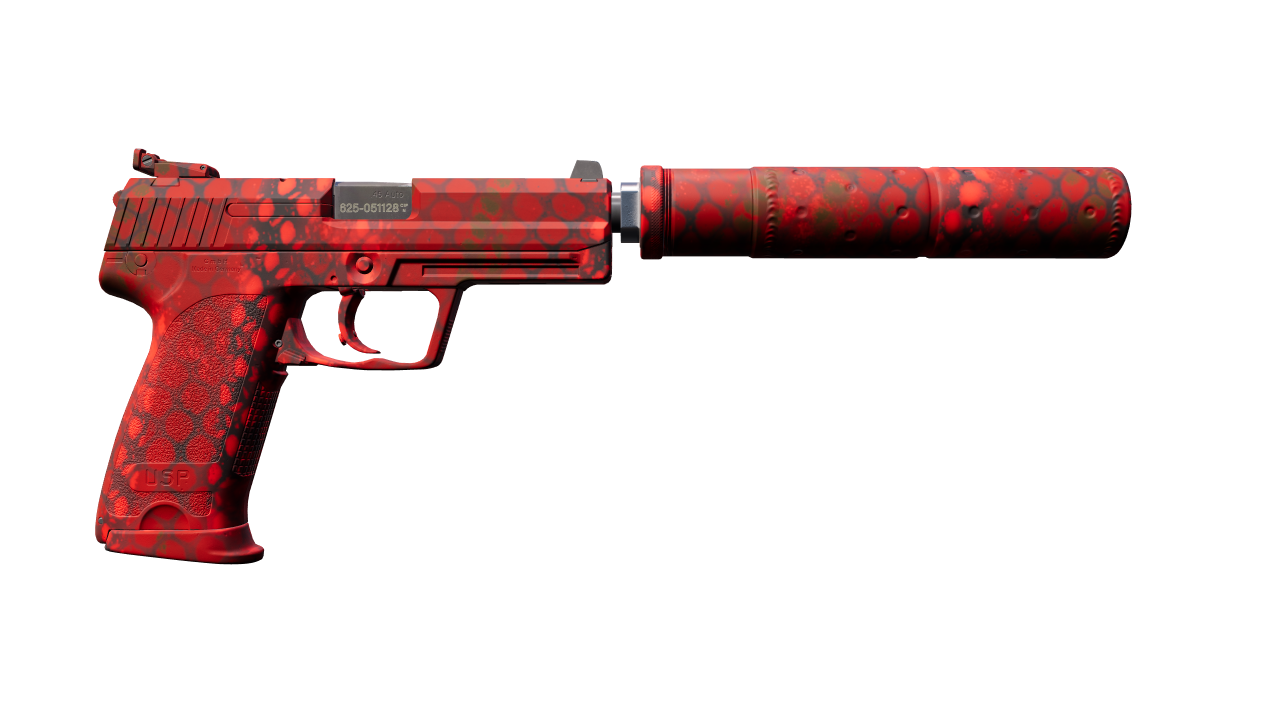 Back view of USP-S | Check Engine