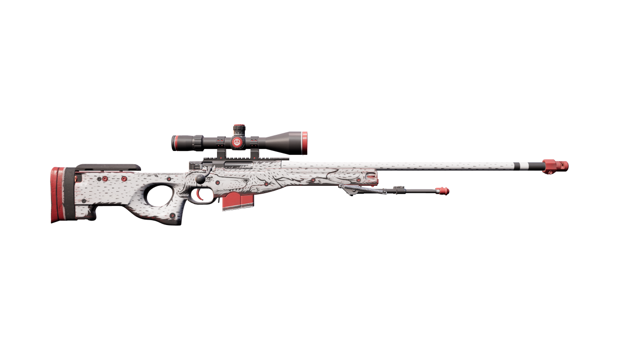 Back view of AWP | LongDog
