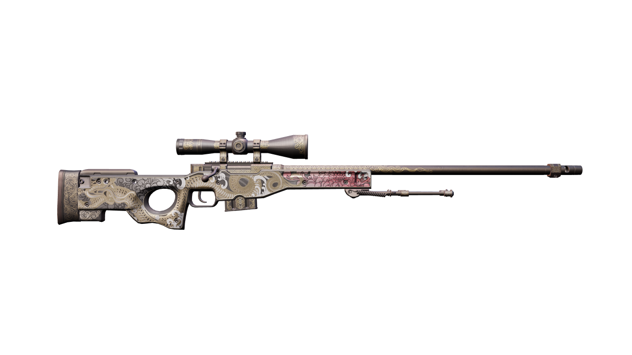 Back view of AWP | Duality
