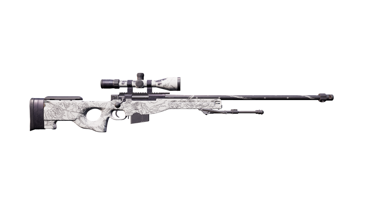 Back view of AWP | The End