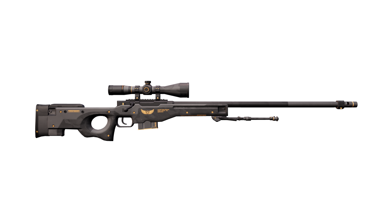 Back view of AWP | Elite Build