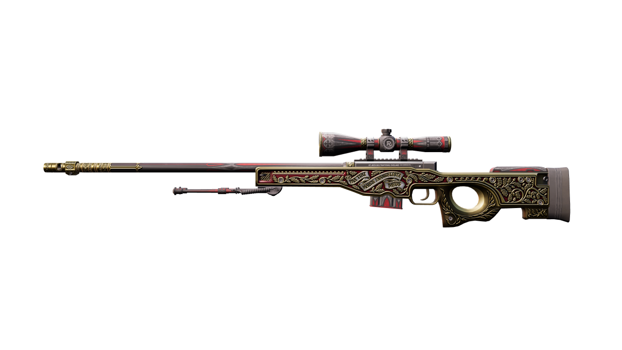 Front view of AWP | The Prince